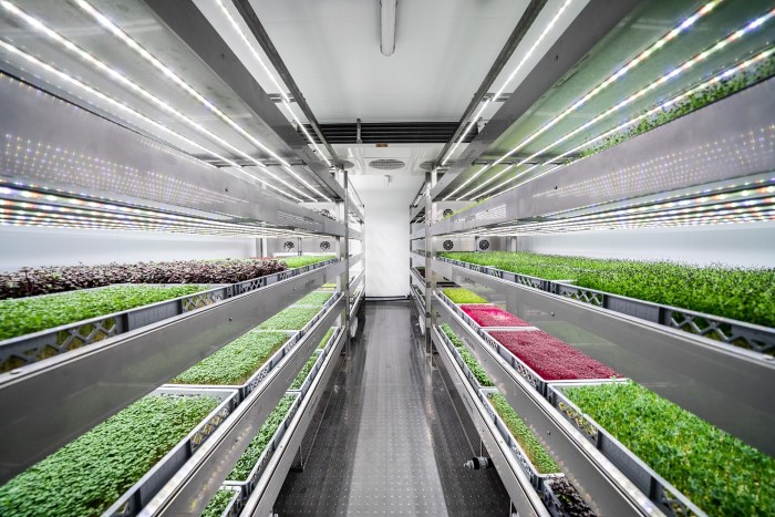 Vertical Farming
