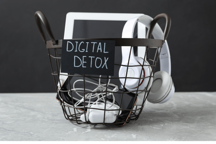 Unplug to Recharge: The Science-Backed Benefits of a Digital Detox ...