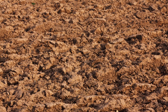 Soil Texture Free Stock Photo - Public Domain Pictures