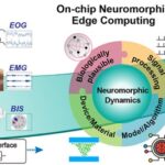 Frontiers | Adaptive Extreme Edge Computing for Wearable Devices