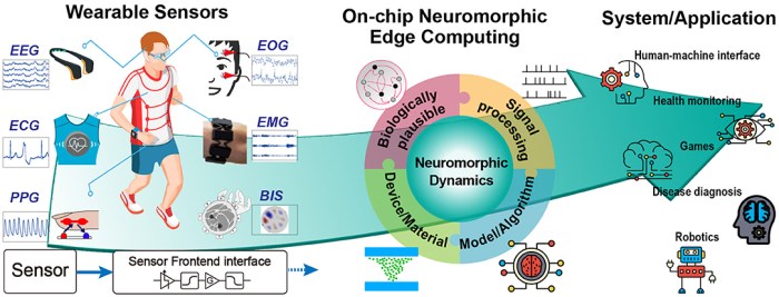 Frontiers | Adaptive Extreme Edge Computing for Wearable Devices