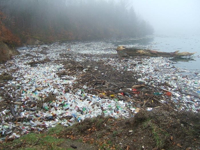 Free stock photo of plastics, pollution, pollution on the beach